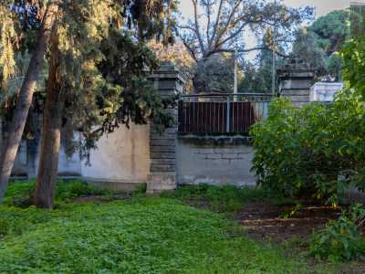 Oltre le fronde scorgiamo anche il vecchio ingresso murato della propriet�, che d� su via Celso Ulpiani